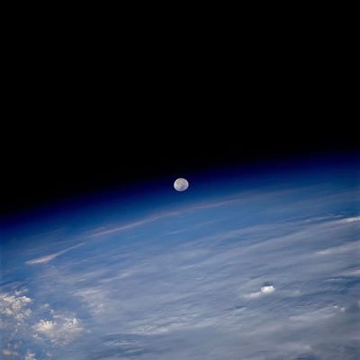 introoutro2025's profile picture. Factual