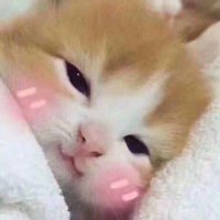 🅻🆈🅽 ♡´・ᴗ・`♡ (@lynnna20) 's Twitter Profile
