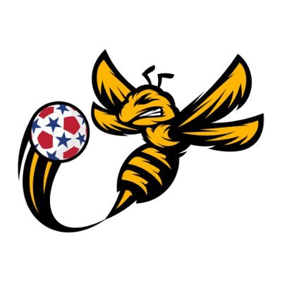 The 2x champions Chicago Sting™ are returning to Chicago in @TheASLOfficial! 🐝 ⚽