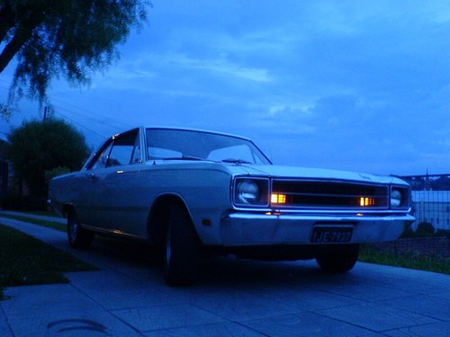 felipedelazzeri's profile picture. 