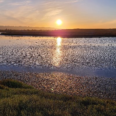 DmitrySerebren1's profile picture. 