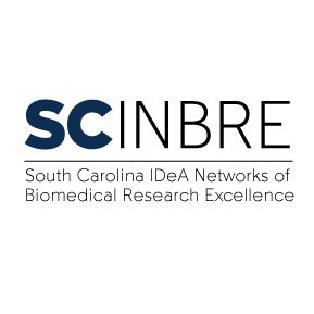 SC INBRE supports the career development of faculty and hands-on research training of students in the state of South Carolina.