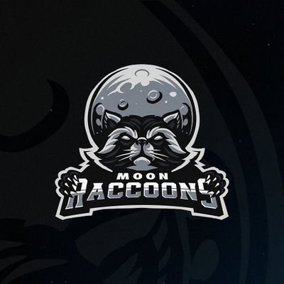 Moon Raccoons Profile