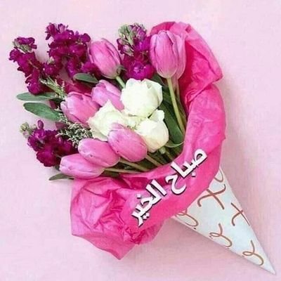 DodoDod45250082's profile picture. أحب الجميع أحب السمر