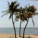 Sunny - @john70eli67 - Twitter