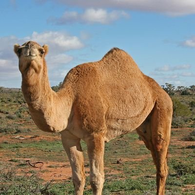 滝川出身　喜茂別町に住んでます
趣味　オカリナ吹き　スタバ好き
ホテルの朝食バイキング

自粛だけども
暫くは節約頑張ります