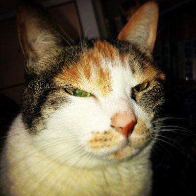 RunPo8's profile picture. 福岡のランニングと競歩を応援したい！