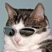 FornaCatto is DEAD(?! (@forna_catt) Twitter profile photo FornaCatto is DEAD(?! (@forna_catt) Twitter profile photo
