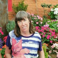 Kátia (@blancosep) 's Twitter Profile