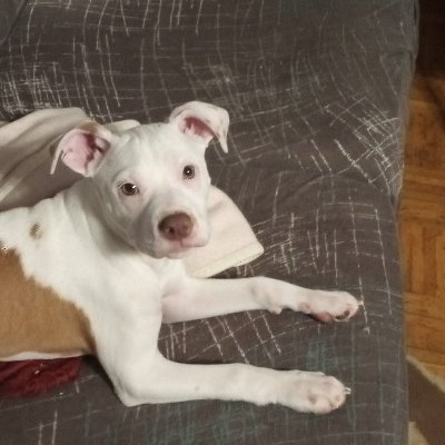 AlejandroFG1974's profile picture. 