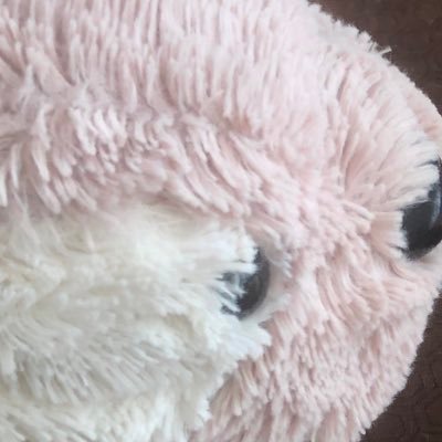 swinwin_g's profile picture. 