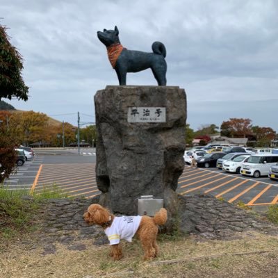 犬連れアウトドア