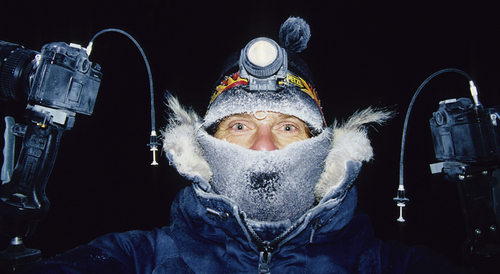 AuroraHunter's profile picture. I like to spend the icy cold Alaskan nights outside hunting the awesome aurora borealis