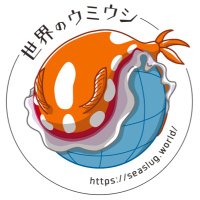 世界のウミウシ(@seaslug_world) 's Twitter Profile Photo