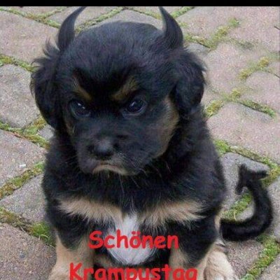 ChristophOllin1's profile picture. Ein Behinderter Mann bald 42 sucht eine Freundin zw. 37-47 Jahren. Am Anfang öfter Treffen im Kaffeehaus und in ca. 6-9 Monaten zusammen ziehen und Liebe,Sex U.