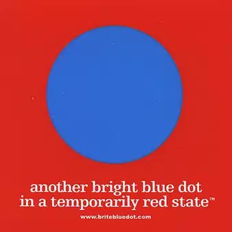 A blue South carolinian in a horribly red state, with thanks for use of logo to https://t.co/CrLKxfKTB1