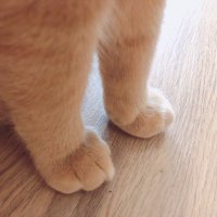 裏 (@nnrpbk2beecuuat) 's Twitter Profile