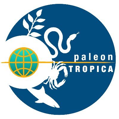 paleontropica's profile picture. #Paleontropica es una comunidad científica interesada en #scicomm #divulgacioncientifica de paleontología tropical. IG: @paleontropica