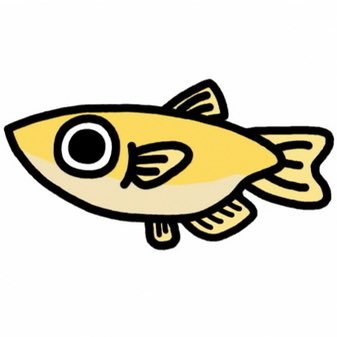 めだかブログというブログを日々更新してます! ゆるーく日常をブログに書いてます! DM等遅くなるかもしれまけんがなるべく返事します🙇⋱♀️ 勧誘DMは必要ないのと返さないのでブロガーさんとは繋がりたいので勧誘じゃない方は分かりやすく書いてくれると返信しやすいです!!