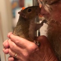 Nancy (@nancy41603) 's Twitter Profile