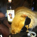 Andrew Horne - @DimSumDrew - Twitter