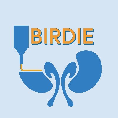 Official Twitter account for the H2020 FET-EU Project BIRDIE - Bioprinting on-chip microphysiological models of humanized kidney tubulointerstitium