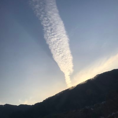 死ねるなら楽にさんのプロフィール画像
