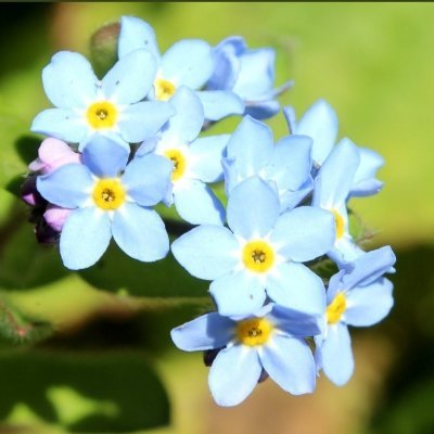 🌻🌱⚽🏖️🐕 
Mam, love gardening, football, 
beach and dogs. 
Lost my beloved dad to dementia. 
Hoping for a dementia breakthrough and cure very soon.