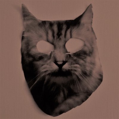 Early_Mammal's profile picture. Band on hiatus. We're doing other music (see: Falling Floors). Records @RiotSeasonrecs. Enjoy.