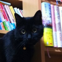 くるぶし📖 (@kurubushi7) 's Twitter Profile