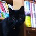くるぶし📖 (@kurubushi7) Twitter profile photo くるぶし📖 (@kurubushi7) Twitter profile photo