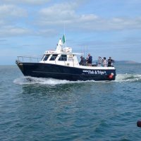 Fish & Trips Malahide (@fish_trips) 's Twitter Profile