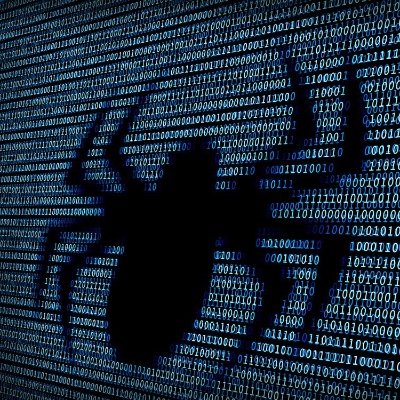 netspidermax's profile picture. 