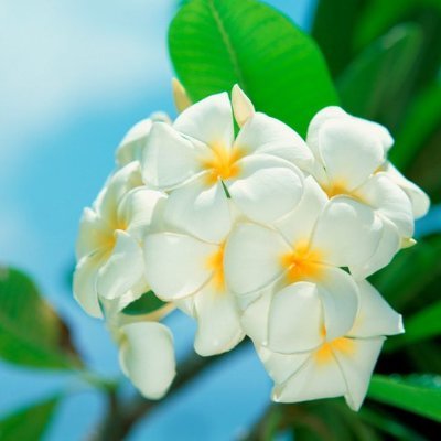 JonathanRach1's profile picture. Life is short, why not be happy.