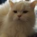 Raf (@raf63031030) Twitter profile photo Raf (@raf63031030) Twitter profile photo