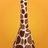 m 🦒