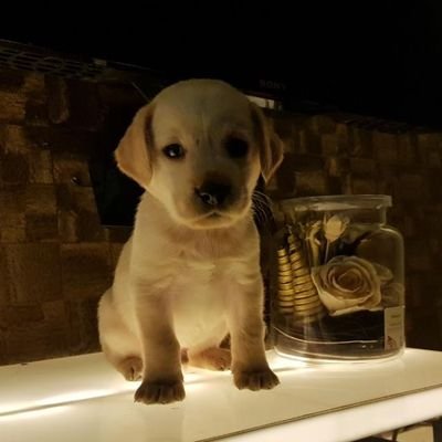 AAshwinkumar7's profile picture. ak