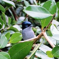 Marion_Mnr (@marion_mnr) 's Twitter Profile