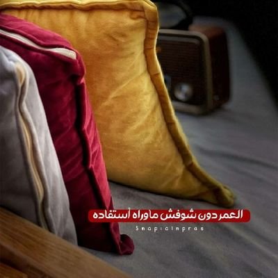 ALREEMALMARRI11's profile picture. ALREEMALMARRI