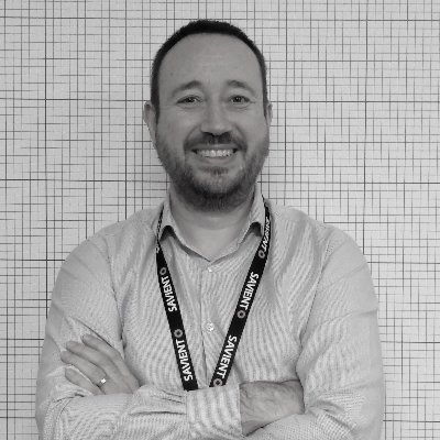 Innovation director, software developer, architect and team lead.