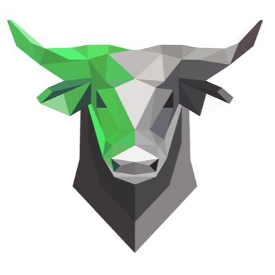SafeBull Profile