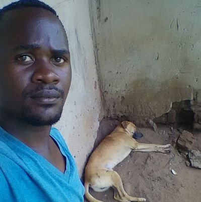 l help homeless Street Dog's in Uganda.
For more details send DMs. Gmail nyonjoali2@gmail.com.
