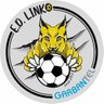 LINKOavila's profile picture. Escuela Deportiva LINKO, educación en valores a través del deporte en Ávila, Madagascar e India. Sección de fútbol, baloncesto, ciclismo y multideporte.