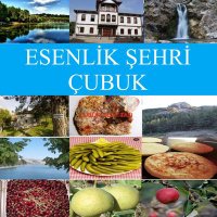 Esenlik Şehri Çubuk(@Esenliksehcubuk) 's Twitter Profile Photo
