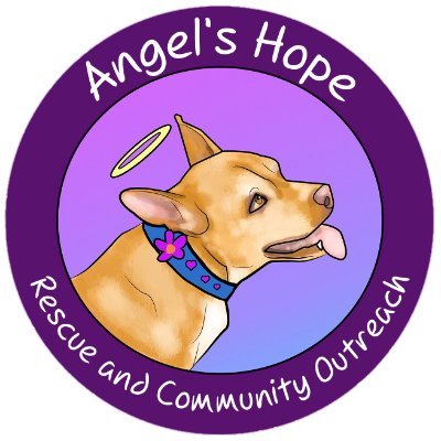 Rescue, Spay/Neuter, and Community Outreach: Making a difference one paw at a time!