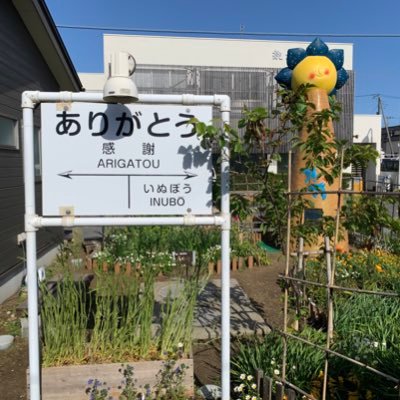 yamagy_pj10's profile picture. 趣味は乗り鉄です。