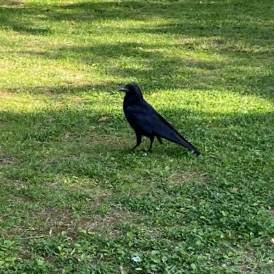 ksksdarui100's profile picture. ペットショップ店員。仕事での本音と愚痴辛口多し。フォロー非推奨。誤字脱字多い。 客モドキの理不尽には毅然と対応。自己責任が取れる立場なので余計な心配不要。 エピソードはリアルタイムではありません。同業者、接客業、ペット垢系の方フォロー失礼します