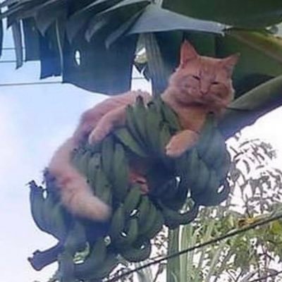 user123456905's profile picture. 