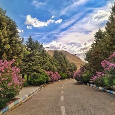 ‏‏‏‏بزه دیده ی دیاثت سیاسی 😢


فالو =بک

https://t.co/13heOxUN3E‎