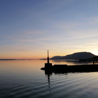 AlbertPicado's profile picture. 
